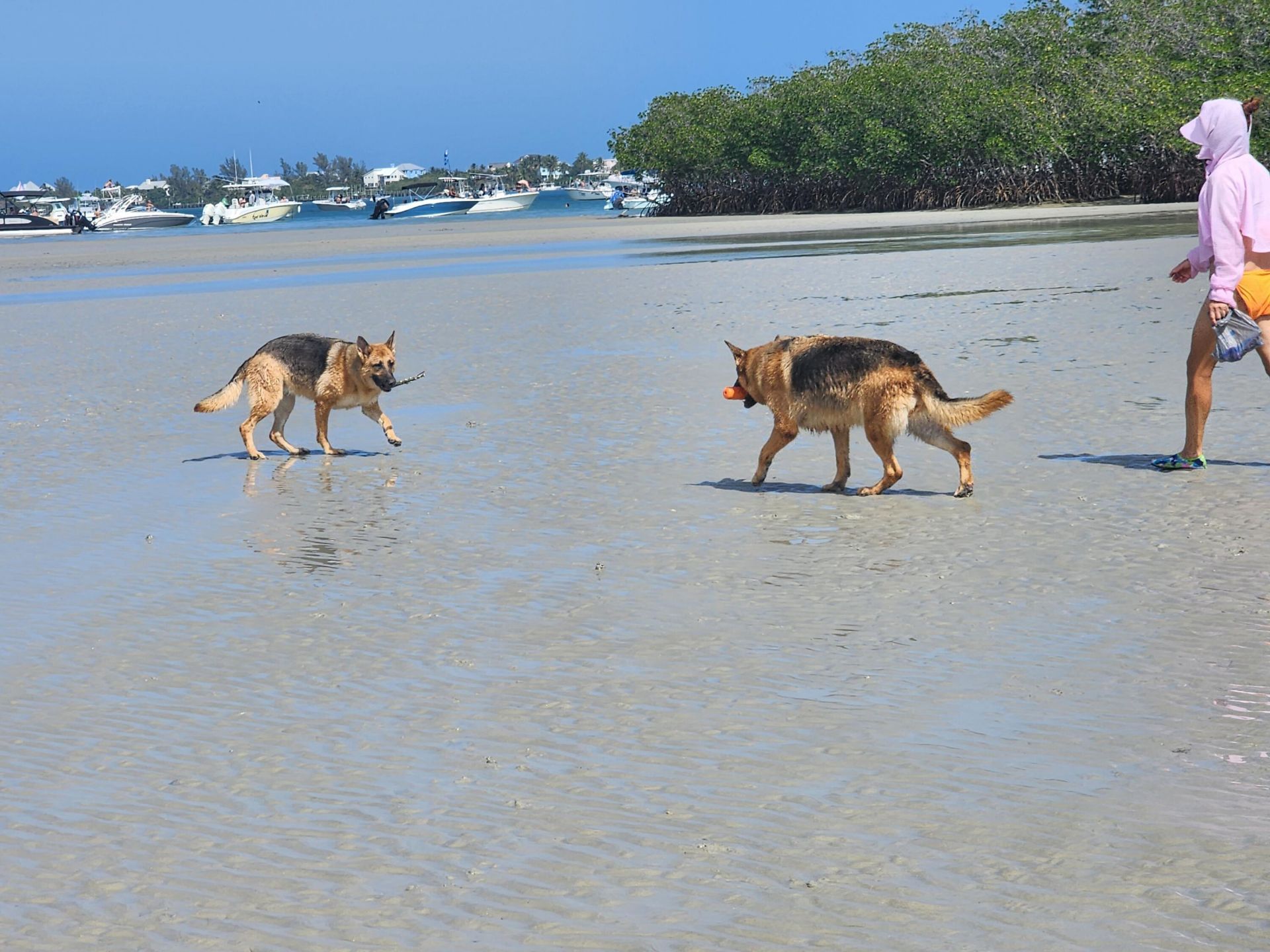 2538 SE Price Court, Port Saint Lucie, FL 34984 Photo