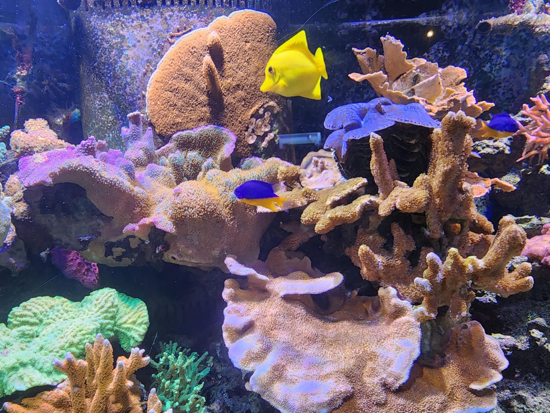 2538 SE Price Court, Port Saint Lucie, FL 34984 Photo