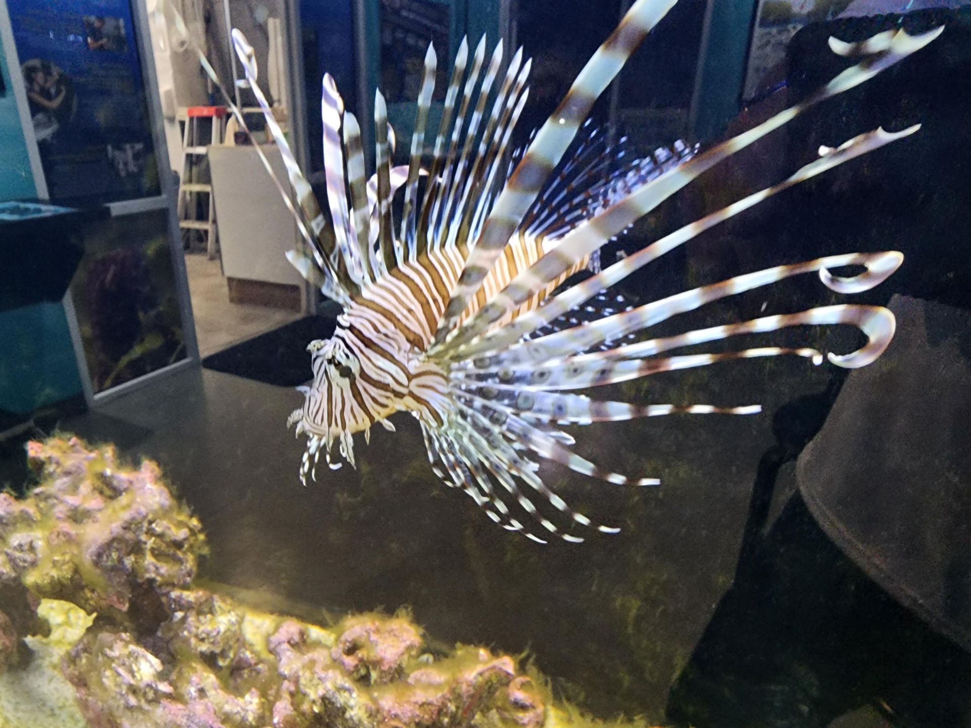 2538 SE Price Court, Port Saint Lucie, FL 34984 Photo