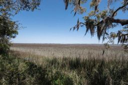 Lot 9 Hopkins Place Drive photo 4