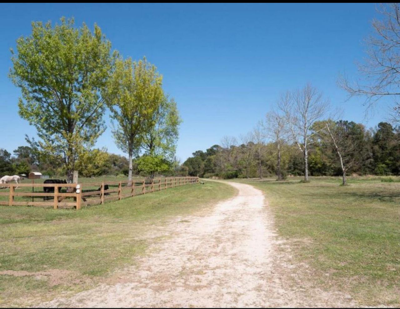 Lot 9 Hopkins Place Drive Photo 8