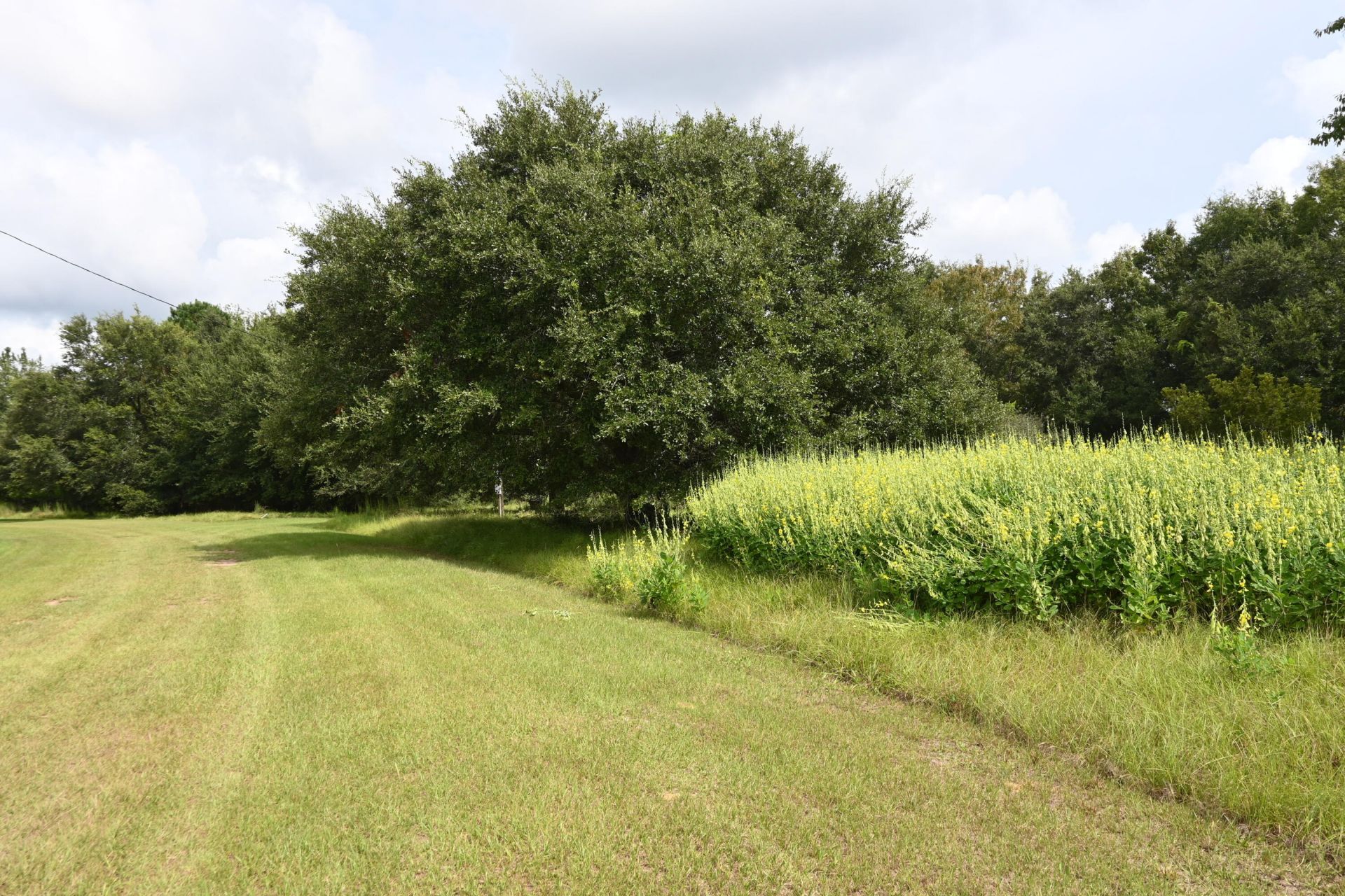 Lot 9 Hopkins Place Drive Photo 9