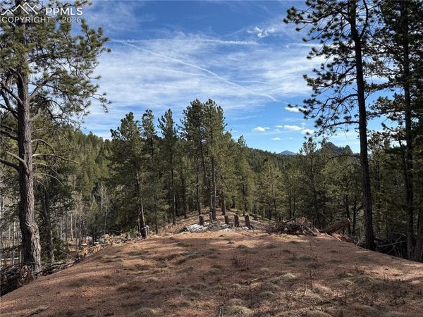 162 Eagle Drive, Divide, CO 80813