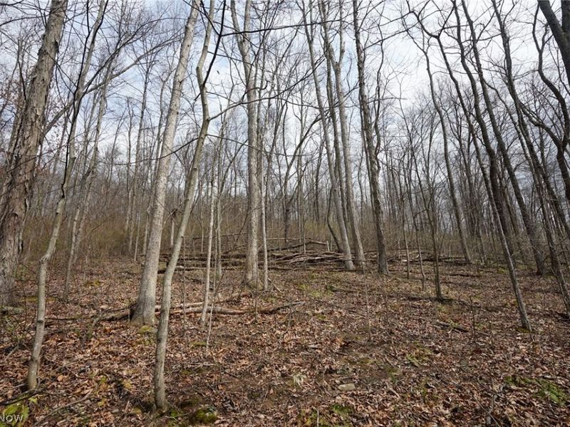 McKee Hill Rd , Frazeysburg, OH 43822 Photo 10