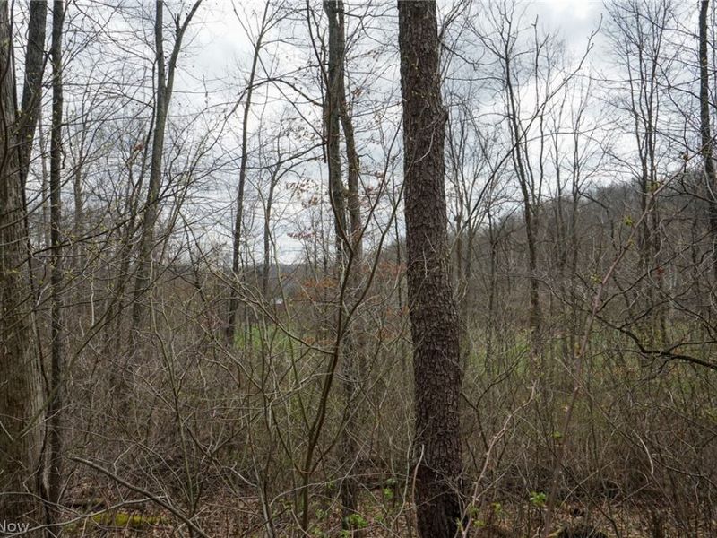 McKee Hill Rd , Frazeysburg, OH 43822 Photo 11