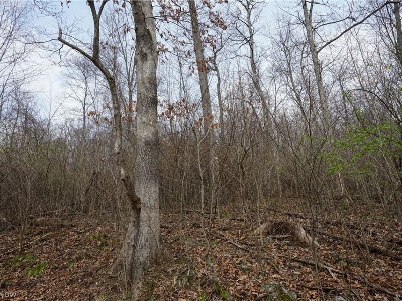 McKee Hill Rd , Frazeysburg, OH 43822 Photo 12