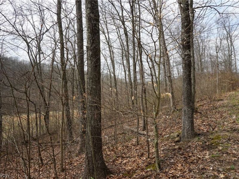 McKee Hill Rd , Frazeysburg, OH 43822 Photo 13