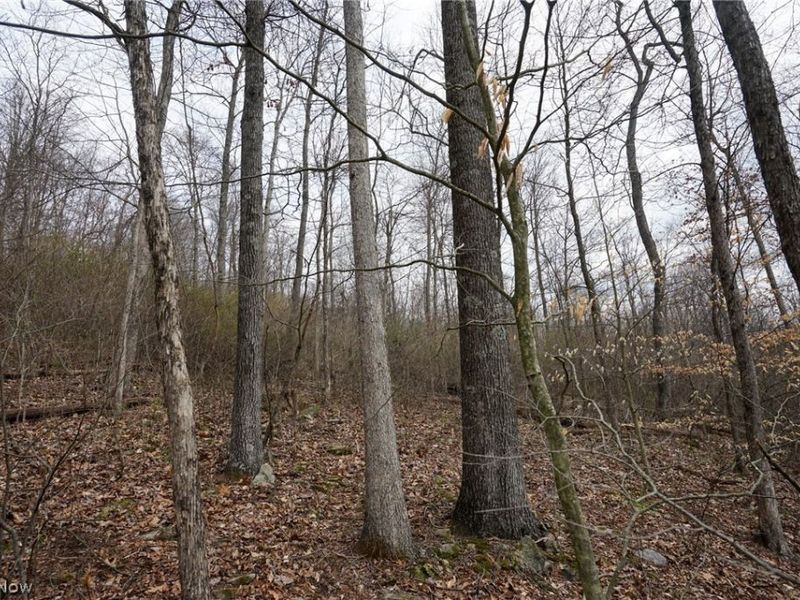 McKee Hill Rd , Frazeysburg, OH 43822 Photo 14