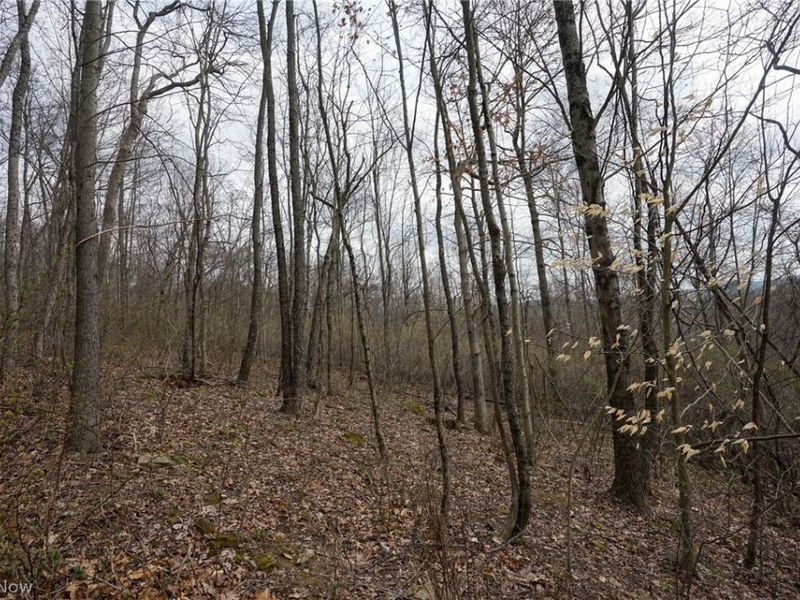 McKee Hill Rd , Frazeysburg, OH 43822 Photo 15