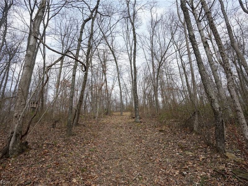 McKee Hill Rd , Frazeysburg, OH 43822 Photo 16