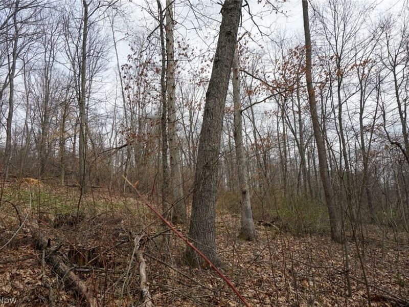 McKee Hill Rd, Frazeysburg, OH 43822 Photo 17