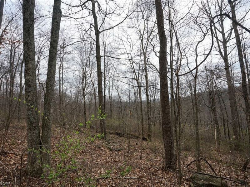 McKee Hill Rd , Frazeysburg, OH 43822 Photo 17