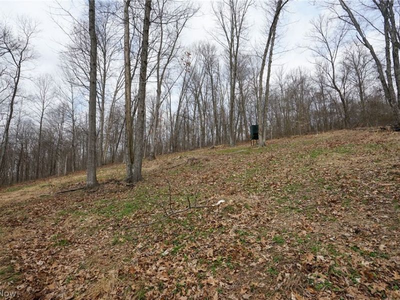 McKee Hill Rd , Frazeysburg, OH 43822 Photo 19