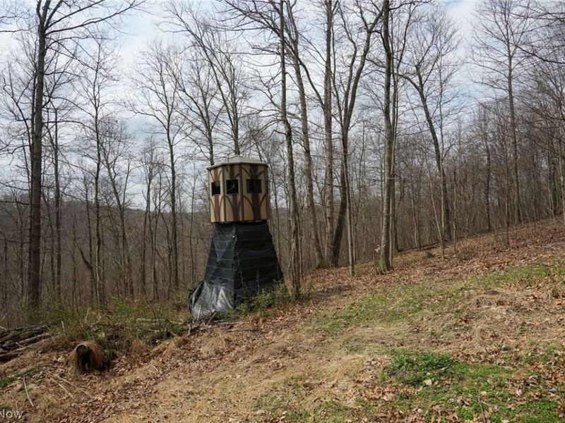 McKee Hill Rd , Frazeysburg, OH 43822 Photo 20