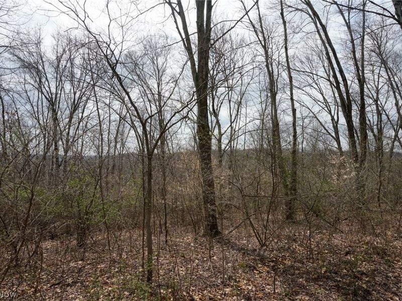 McKee Hill Rd, Frazeysburg, OH 43822 Photo 22