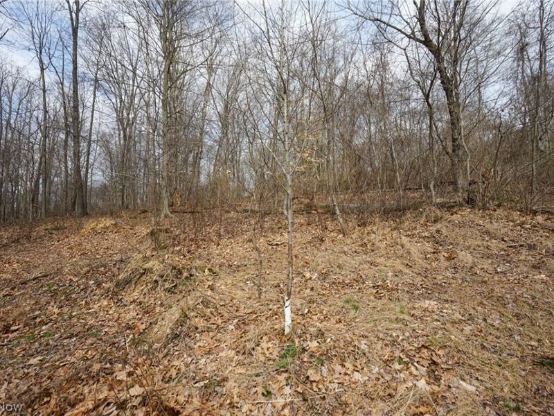 McKee Hill Rd , Frazeysburg, OH 43822 Photo 22