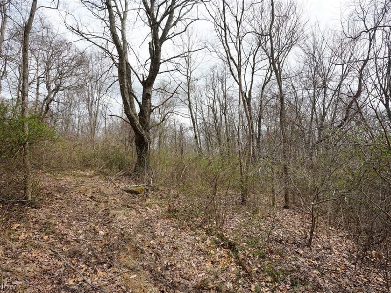 McKee Hill Rd , Frazeysburg, OH 43822 Photo 24