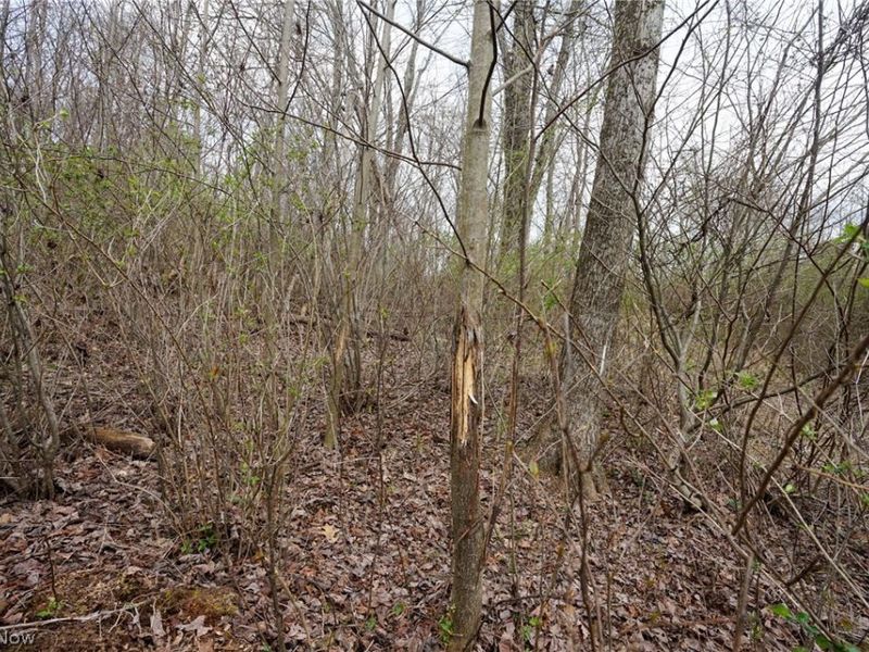 McKee Hill Rd , Frazeysburg, OH 43822 Photo 25