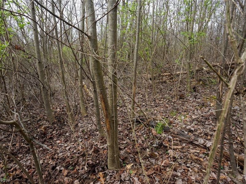 McKee Hill Rd , Frazeysburg, OH 43822 Photo 26