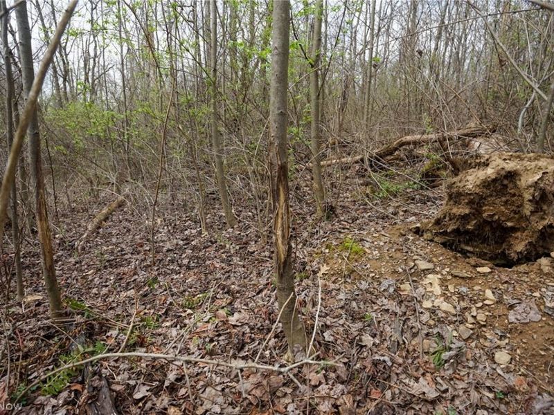 McKee Hill Rd , Frazeysburg, OH 43822 Photo 27