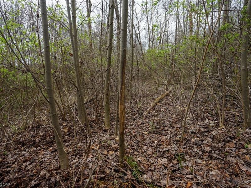 McKee Hill Rd , Frazeysburg, OH 43822 Photo 28