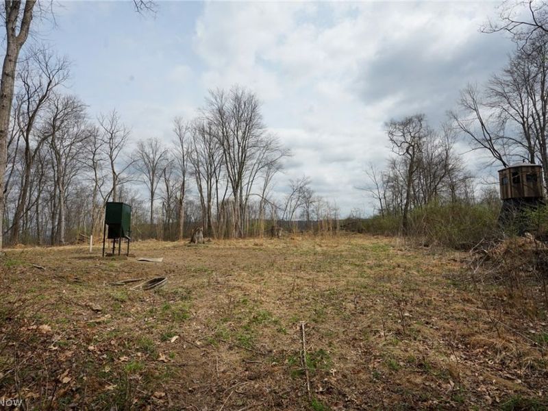 McKee Hill Rd , Frazeysburg, OH 43822 Photo 29