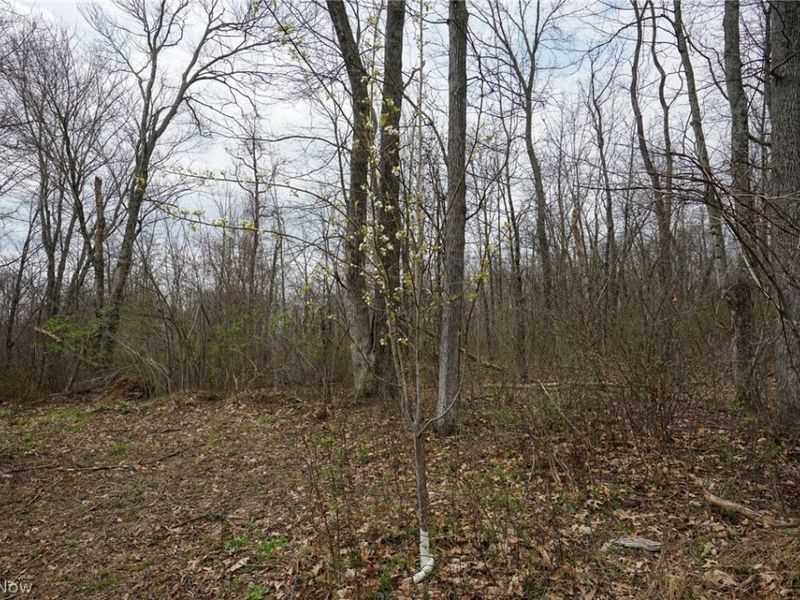 McKee Hill Rd , Frazeysburg, OH 43822 Photo 30