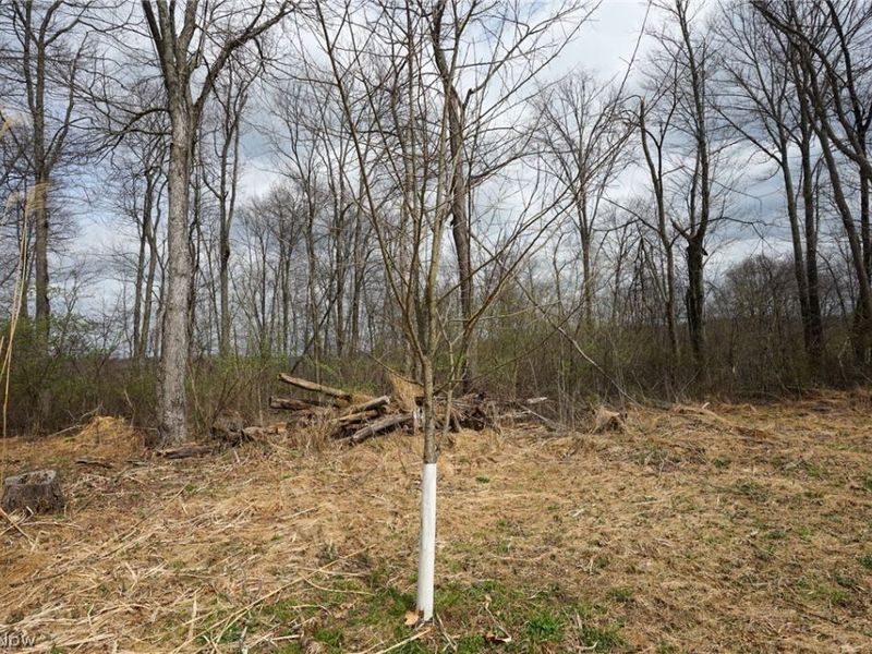 McKee Hill Rd, Frazeysburg, OH 43822 Photo 31