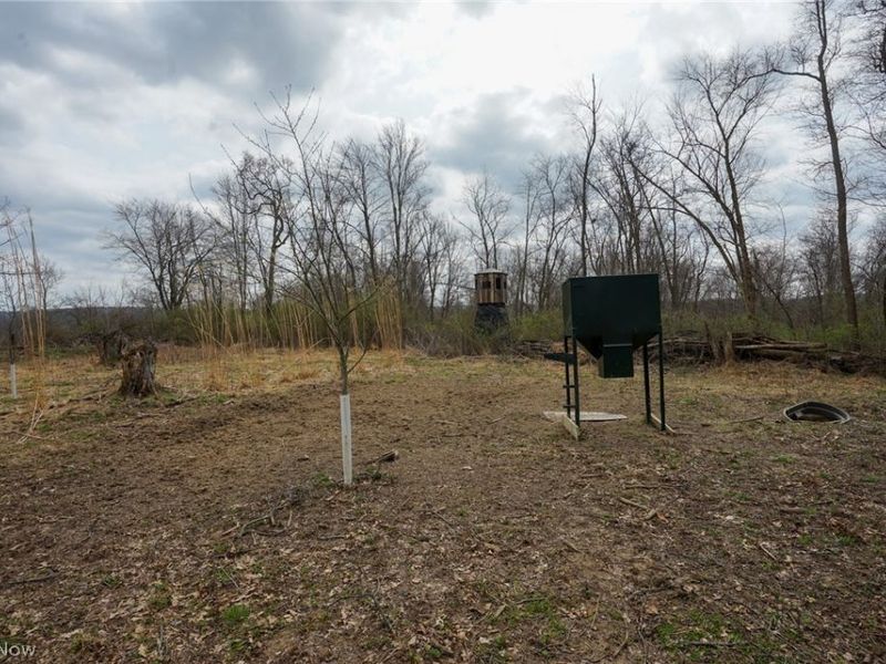 McKee Hill Rd , Frazeysburg, OH 43822 Photo 31