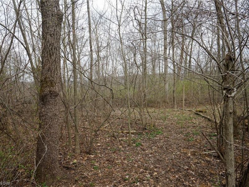 McKee Hill Rd, Frazeysburg, OH 43822 Photo 33
