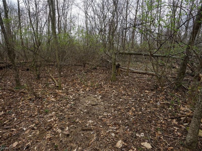 McKee Hill Rd , Frazeysburg, OH 43822 Photo 35