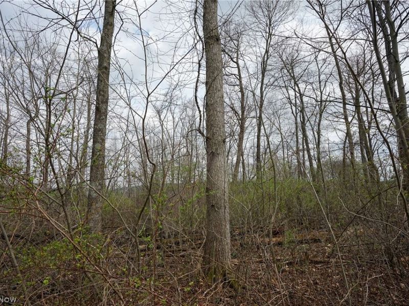 McKee Hill Rd , Frazeysburg, OH 43822 Photo 36