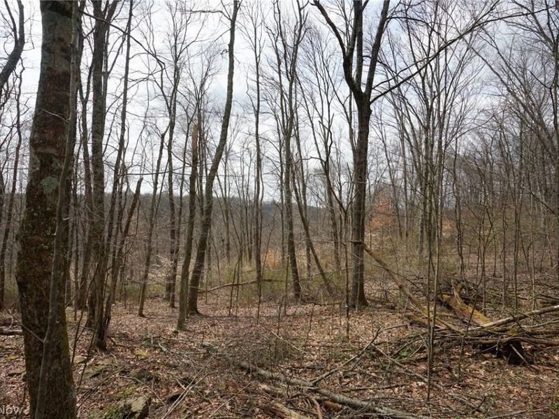 McKee Hill Rd , Frazeysburg, OH 43822 Photo 37