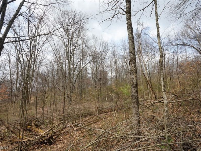 McKee Hill Rd , Frazeysburg, OH 43822 Photo 38