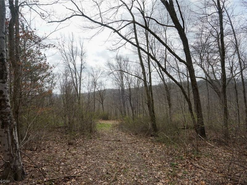 McKee Hill Rd , Frazeysburg, OH 43822 Photo 39