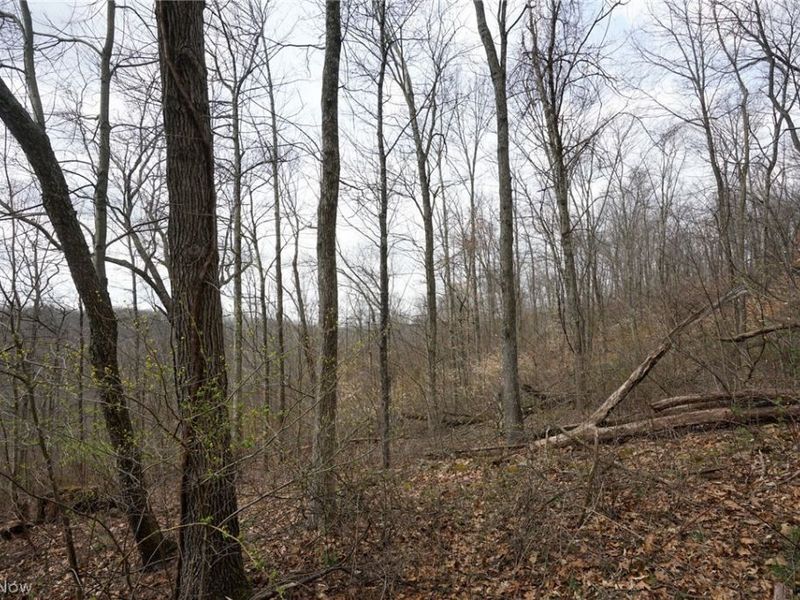 McKee Hill Rd , Frazeysburg, OH 43822 Photo 40