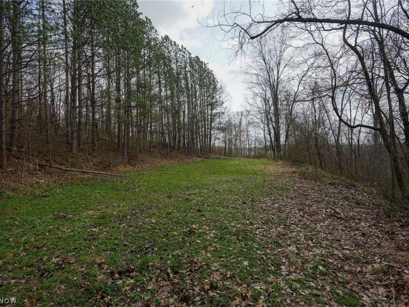 McKee Hill Rd , Frazeysburg, OH 43822 Photo 41