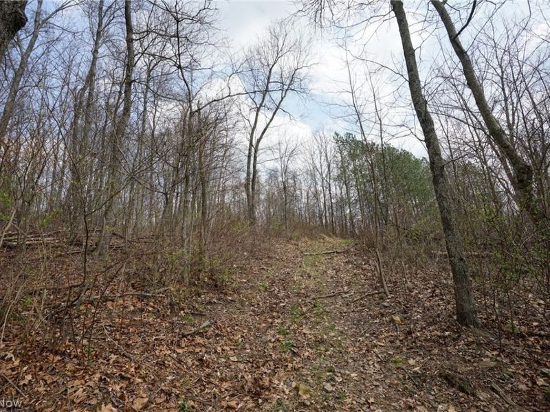 McKee Hill Rd , Frazeysburg, OH 43822 Photo 42