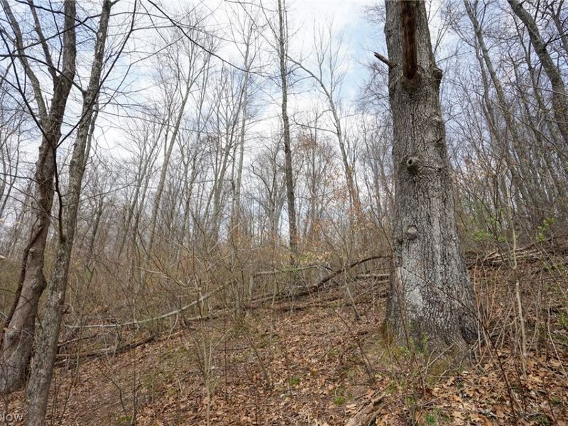 McKee Hill Rd , Frazeysburg, OH 43822 Photo 43