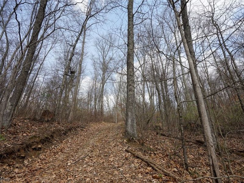 McKee Hill Rd , Frazeysburg, OH 43822 Photo 44