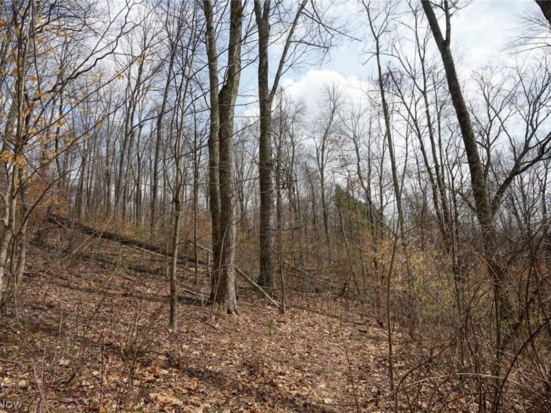 McKee Hill Rd, Frazeysburg, OH 43822 Photo 45