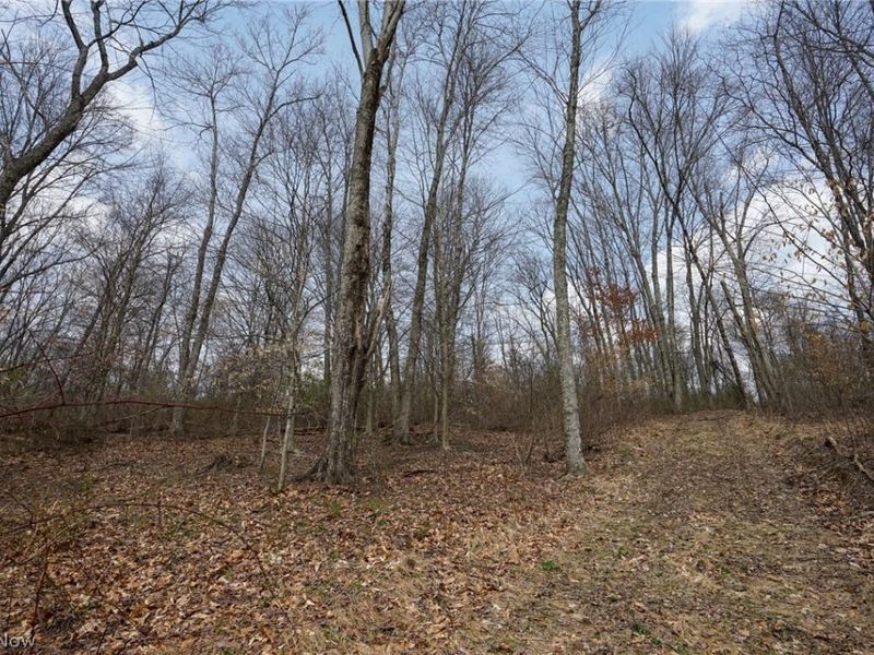 McKee Hill Rd , Frazeysburg, OH 43822 Photo 45