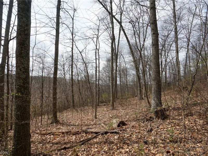 McKee Hill Rd , Frazeysburg, OH 43822 Photo 47