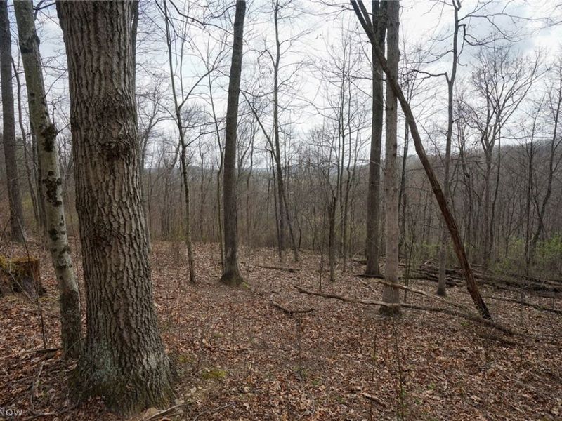 McKee Hill Rd , Frazeysburg, OH 43822 Photo 48