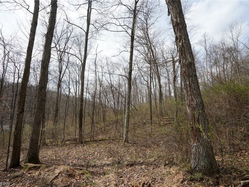 McKee Hill Rd , Frazeysburg, OH 43822 Photo 49