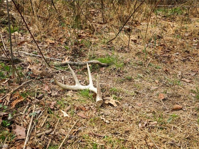 McKee Hill Rd , Frazeysburg, OH 43822 Photo 6