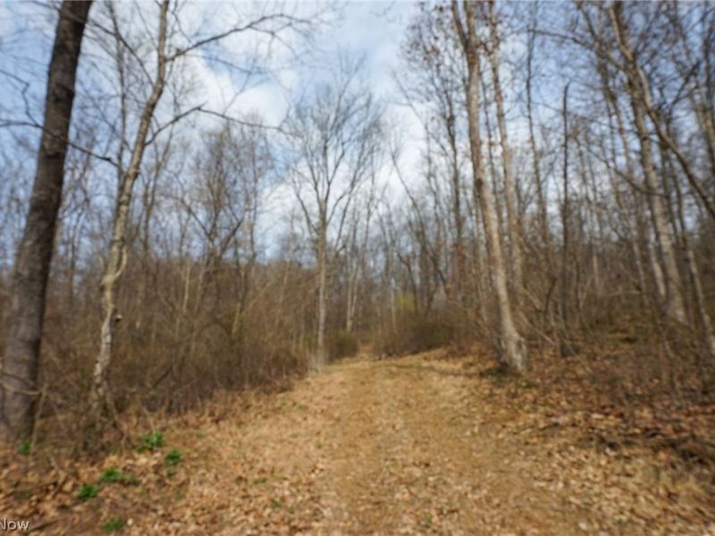 McKee Hill Rd , Frazeysburg, OH 43822 Photo 8