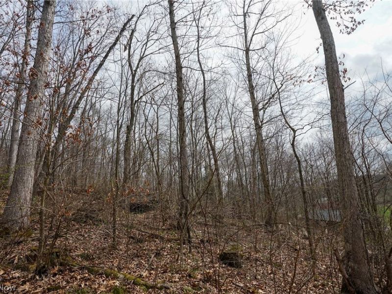 McKee Hill Rd , Frazeysburg, OH 43822 Photo 9