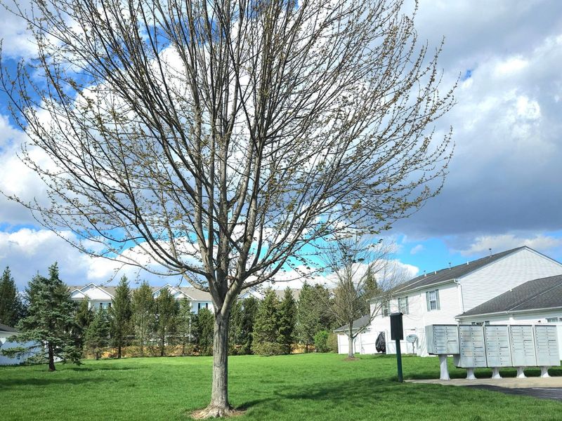 6672 Axtel Drive , Unit 2B, Canal Winchester, OH 43110 Photo 62