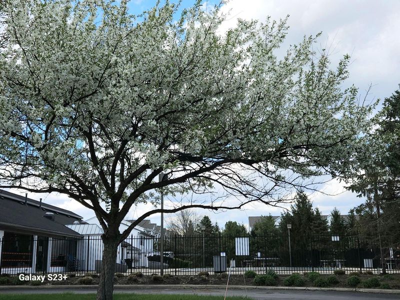 6672 Axtel Drive , Unit 2B, Canal Winchester, OH 43110 Photo 69